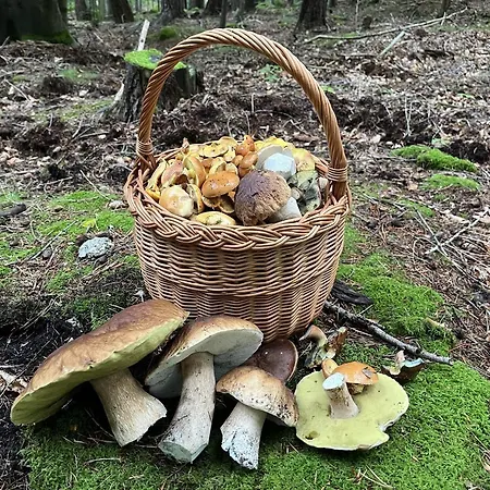 U Gruszkow - Pod Chojnikiem Jelenia Góra