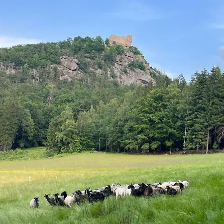 U Gruszkow - Pod Chojnikiem 샬레