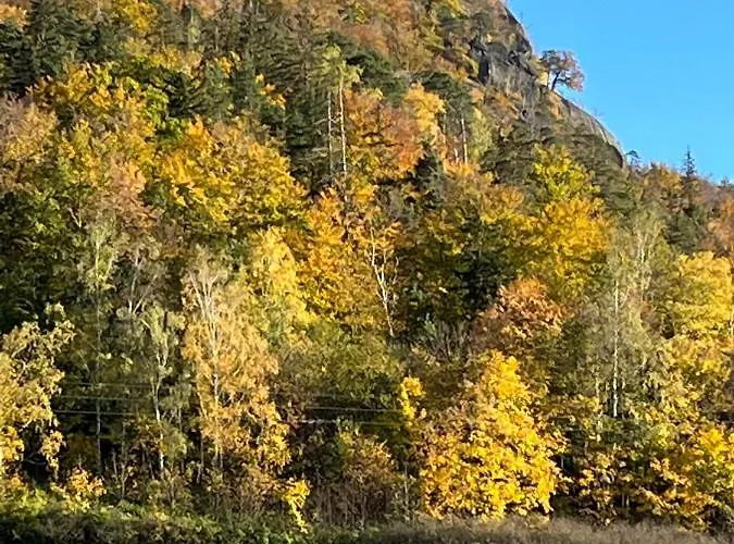 בקתה U Gruszkow - Pod Chojnikiem *