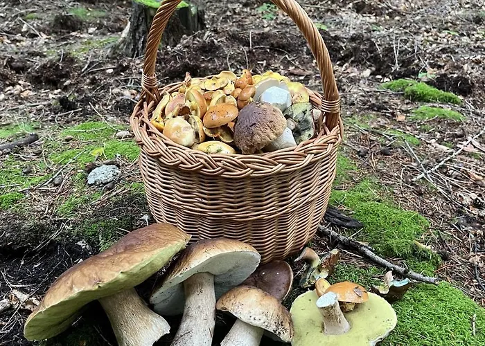 U Gruszkow - Pod Chojnikiem Jelenia Gora