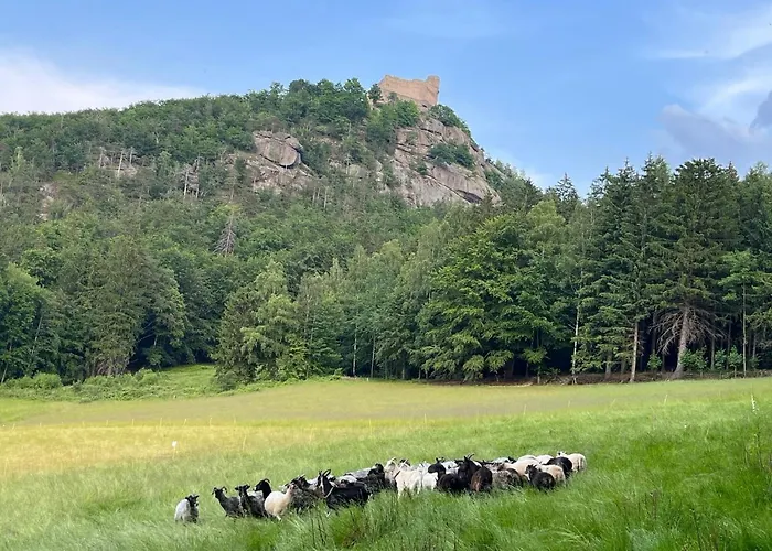 U Gruszkow - Pod Chojnikiem Chalet
